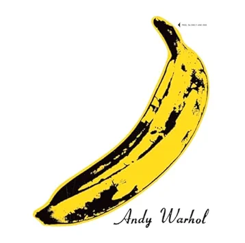 The velvet underground cover